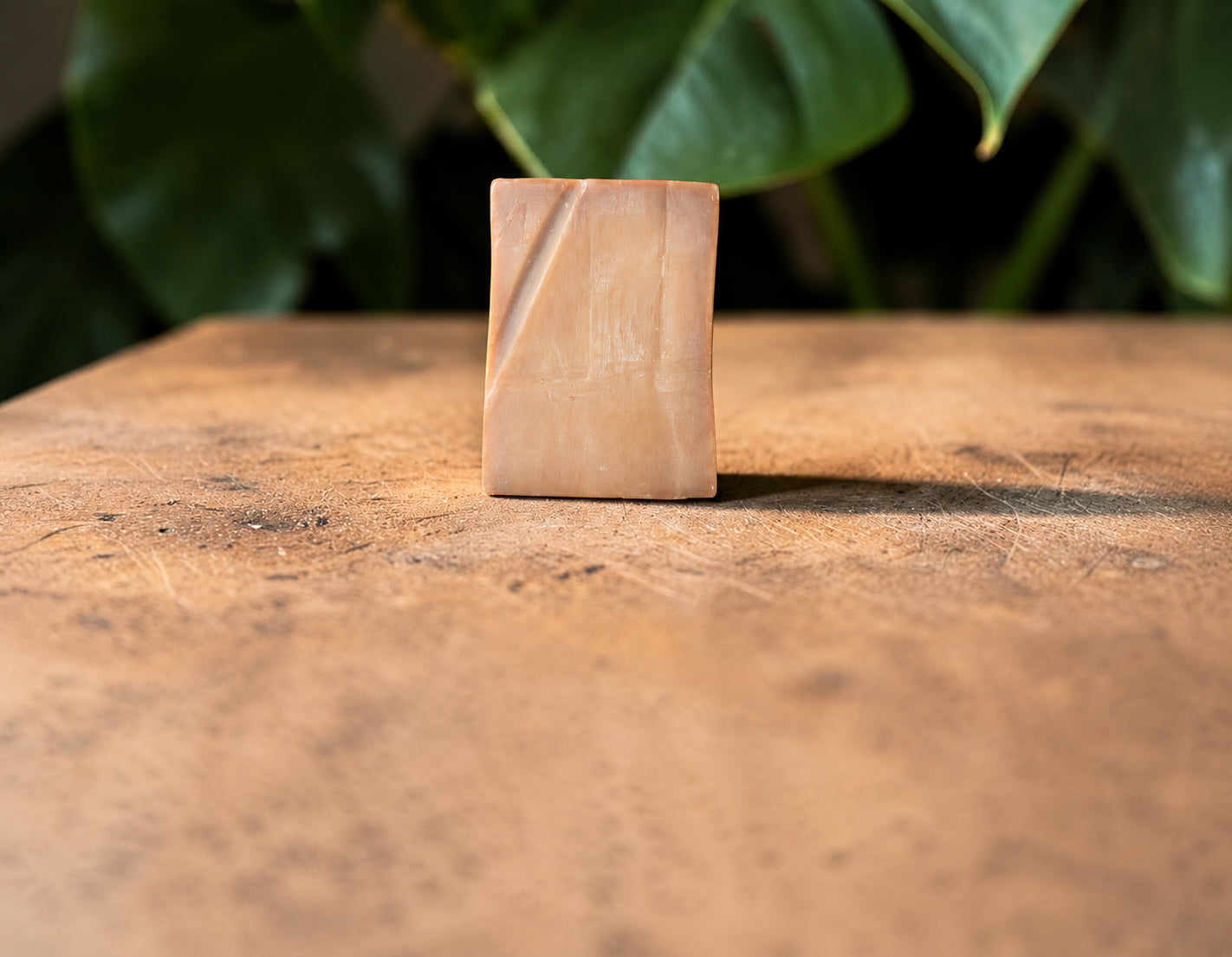 Bera Botanicals 40% laurel berry oil Aleppo soap bar on warm natural stone