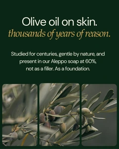 Instagram graphic about olive oil in Bera Botanicals natural soap with olive branches